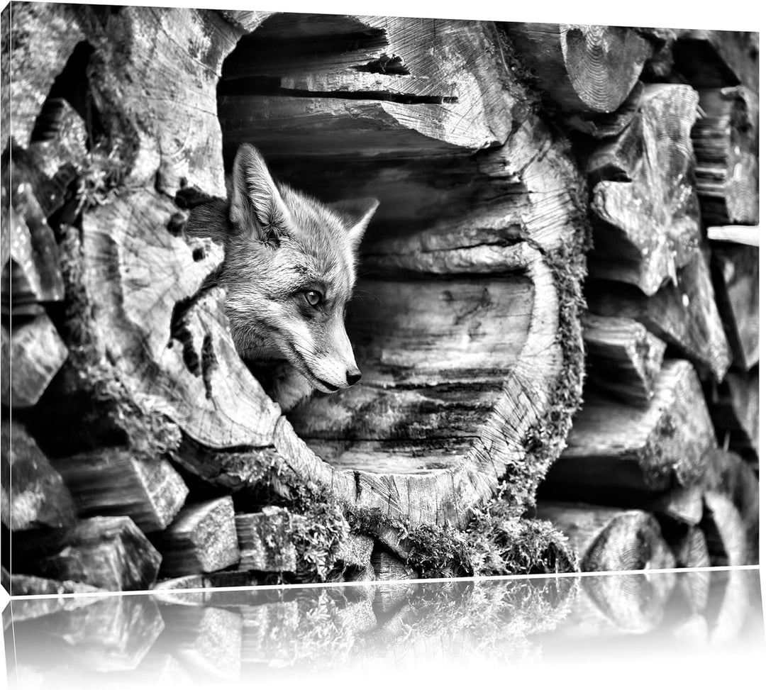 Pixxprint Fuchs im Baumstamm als Leinwandbild/Grösse: 100x70 cm/Wandbild/Kunstdruck/fertig bespannt,