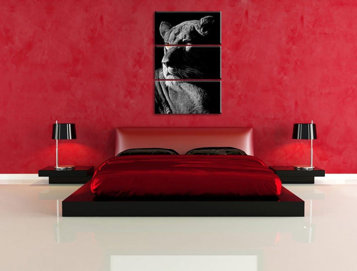 Dark prächtige Löwin schwarz/weiss Deluxe 3-Teiler Leinwandbild 120x80 Bild auf Leinwand, XXL riesig