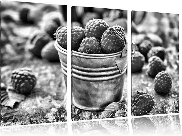 Pixxprint Monocrome, Früchte Eimer Obst Fruit Food 3-Teiler Leinwandbild 120x80 Bild auf Leinwand