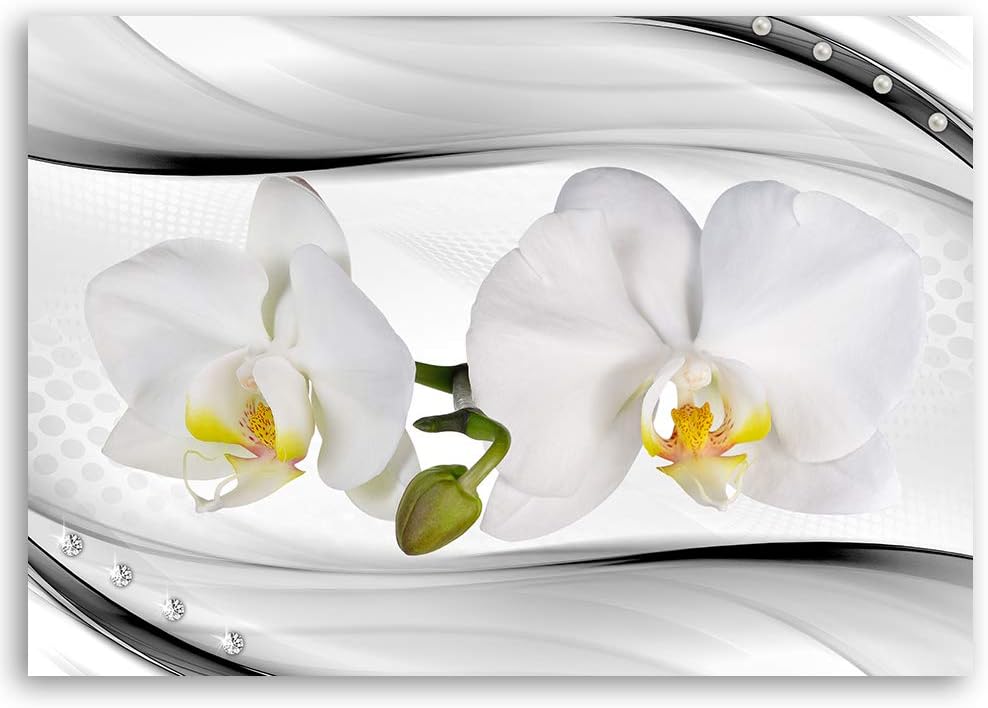 Feeby Leinwandbild Blumen Bild Kunstdruck Orchideen Weiss 70x50 cm Leinwandbild 70x50 cm Weiss_a, Le