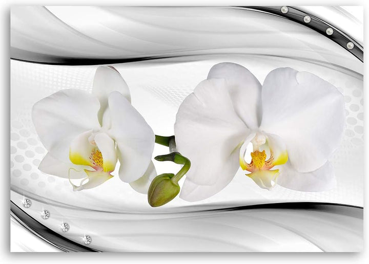 Feeby Leinwandbild Blumen Bild Kunstdruck Orchideen Weiss 70x50 cm Leinwandbild 70x50 cm Weiss_a, Le