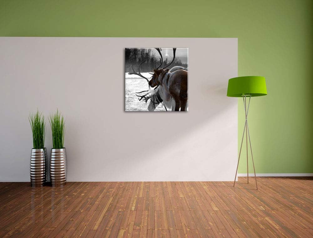 Pixxprint Rentiere im Schnee schwarz/weiss, Format: 70x70 auf Leinwand, 70x70