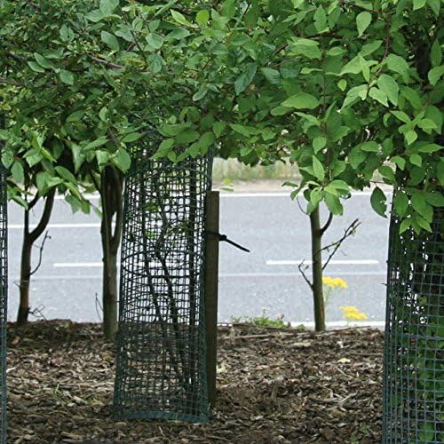 TUBEX Treeguard Strauch-/Baumschutz-Gitter-Röhre Höhe 60cm, Ø 170-200mm, grün, Stammschutz, Fege- un