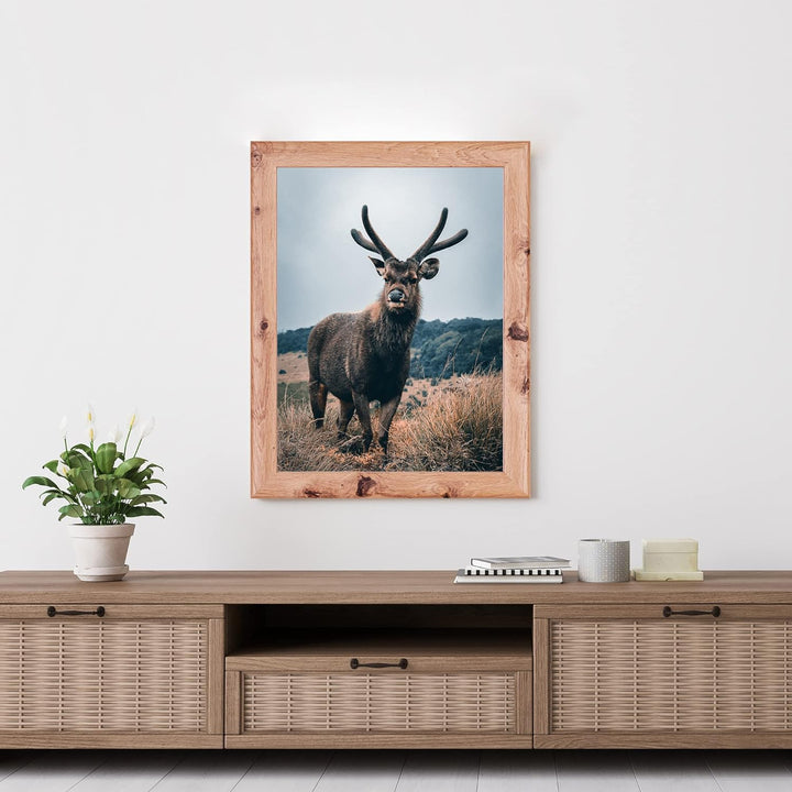 Rahmendesign24 Posterrahmen Fiona 50x70 Eiche natur Fotorahmen, Wechselrahmen, Bilderrahmen