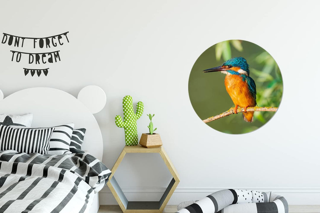 MuchoWow Wandbild Rund Wanddeko Deko Wohnzimmer Bilder 60x60 cm Vogel - Eisvogel - Zweig - Blätter -