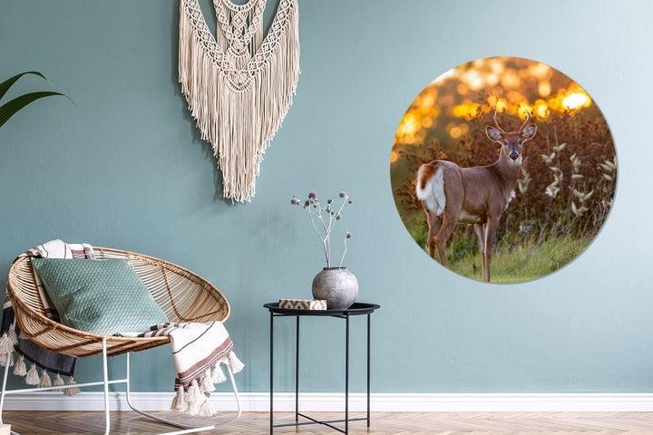 MuchoWow Wandbild Rund Wanddeko Deko Wohnzimmer Bilder 90x90 cm Hirsche - Pflanzen - Sonnenuntergang