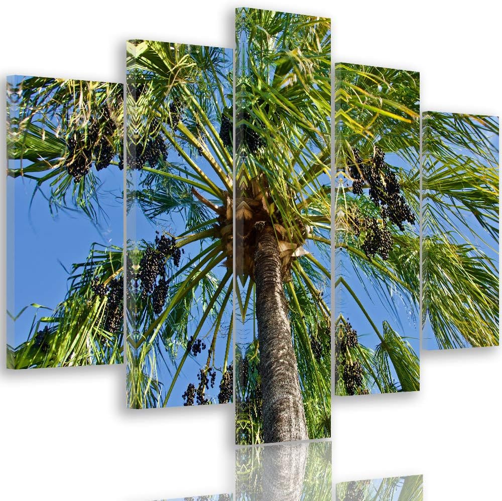Feeby Leinwandbild 5 Teilig Palme Bild Wanddeko Natur Exotik Himmel blau grün 200x100 cm Leinwandbil