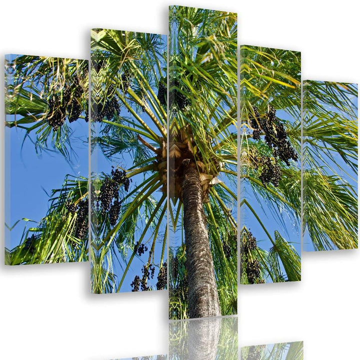 Feeby Leinwandbild 5 Teilig Palme Bild Wanddeko Natur Exotik Himmel blau grün 200x100 cm Leinwandbil