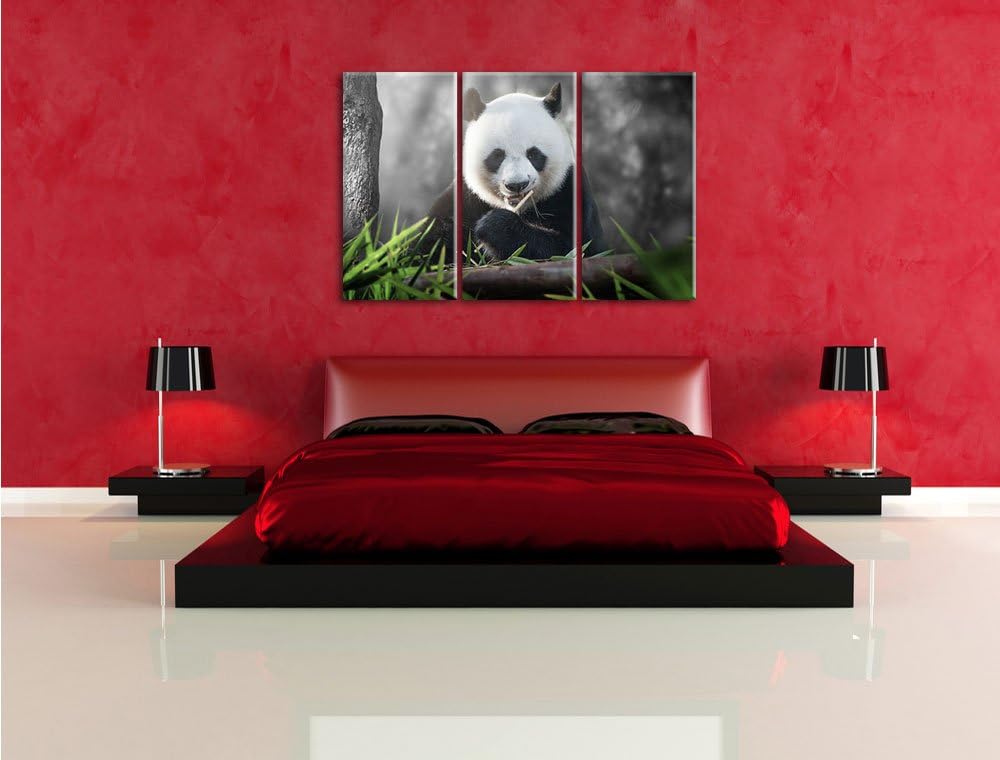 Pixxprint Niedlicher Panda isst Bambus B&W Detail 3-Teiler Leinwandbild 120x80 Bild auf Leinwand