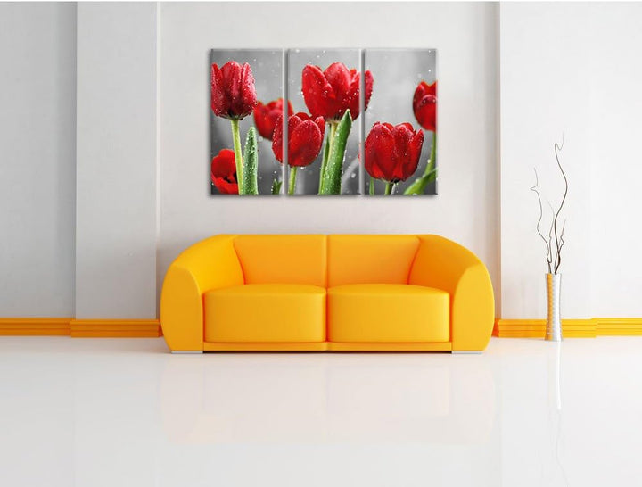 Pixxprint Rote Tulpen mit Tropfen bedeckt als Leinwandbild/Grösse: 3 Teilig (120x80) cm/Wandbild/Kun