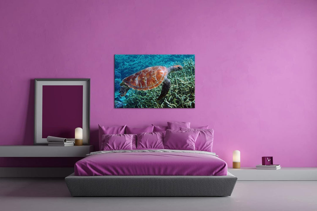 deyoli exotische Schildkröte im Ozean im Format: 80x60 als Leinwandbild, Motiv fertig gerahmt auf Ec