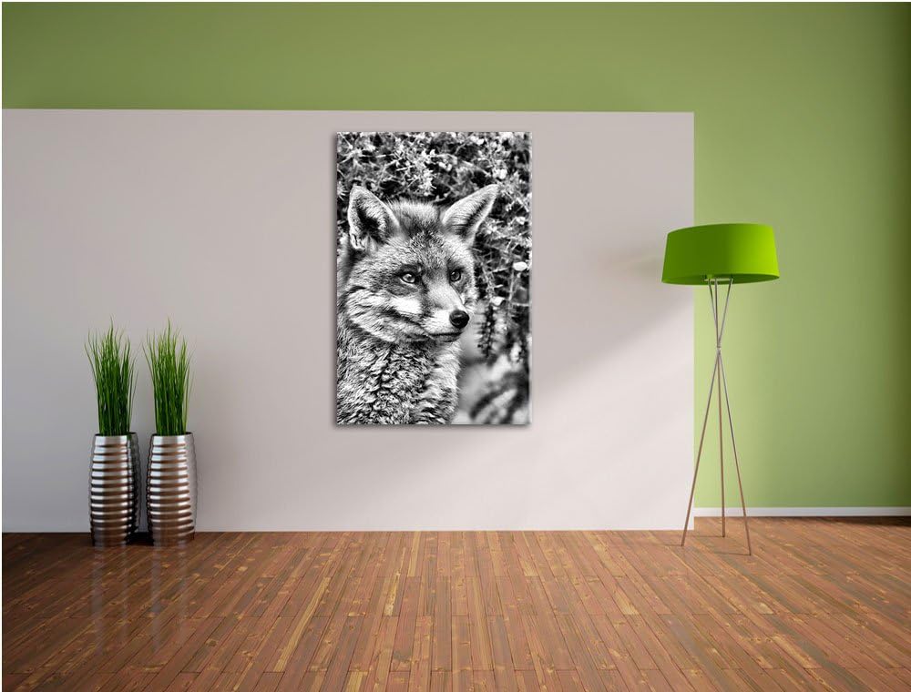 Pixxprint aufschauender Fuchs / 100x70cm Leinwandbild bespannt auf Holzrahmen/Wandbild Kunstdruck De