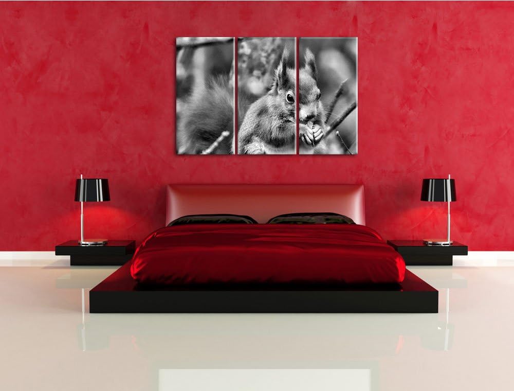 Pixxprint Kleines Eichhörnchen als Leinwandbild | Grösse: 3 Teilig (120x80) | Wandbild| Kunstdruck |