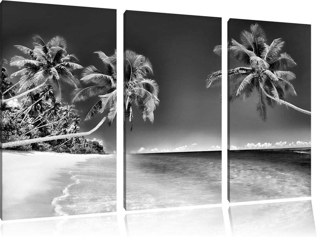 Pixxprint Monocrome, Palmen über dem Meer 3-Teiler Leinwandbild 120x80 Bild auf Leinwand