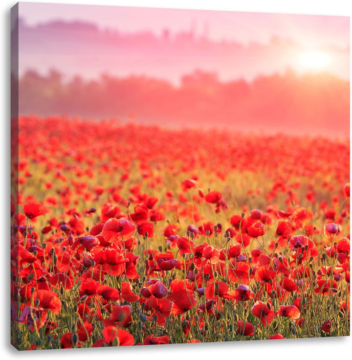 Pixxprint Mohnwiese im Sonnenschein als Leinwandbild Quadratisch/Grösse: 70x70 / Wandbild/Kunstdruck