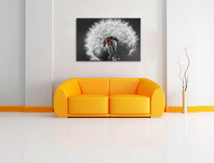 schöner Marienkäfer auf Pusteblume schwarz/weiss Format: 100x70 auf Leinwand, XXL riesige Bilder fer