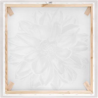 Leinwandbild - Dahlie Blume Silber Metallic 30 x 30cm - Canvas 30cm x 30cm - Canvas, 30cm x 30cm - C