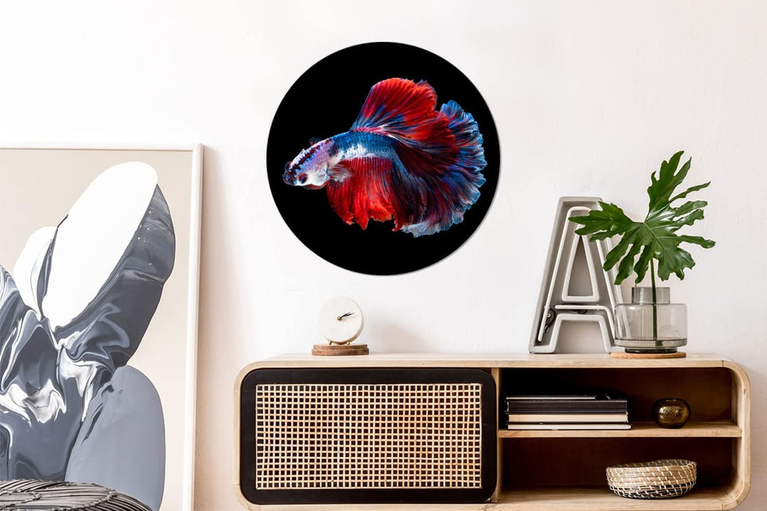 MuchoWow Wandbild Rund Wanddeko Deko Wohnzimmer Bilder 60x60 cm Fisch - Schwanz - Schwarz, 60x60 cm