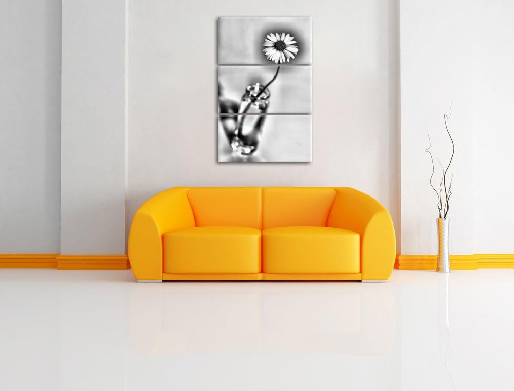 Pixxprint kleines Gänseblümchen im Glas als Leinwandbild/Grösse: 3 Teilig (120x80) cm/Wandbild/Kunst