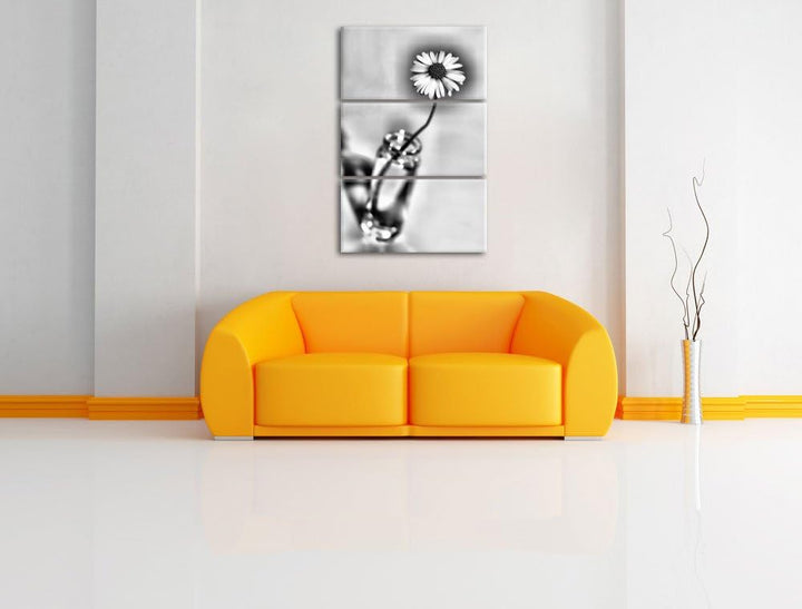 Pixxprint kleines Gänseblümchen im Glas als Leinwandbild/Grösse: 3 Teilig (120x80) cm/Wandbild/Kunst