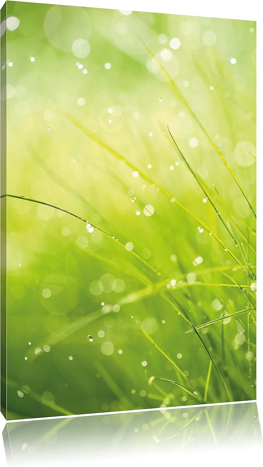 Pixxprint Nasses Gras, Format: 100x70 auf Leinwand, XXL riesige Bilder fertig gerahmt mit Keilrahmen