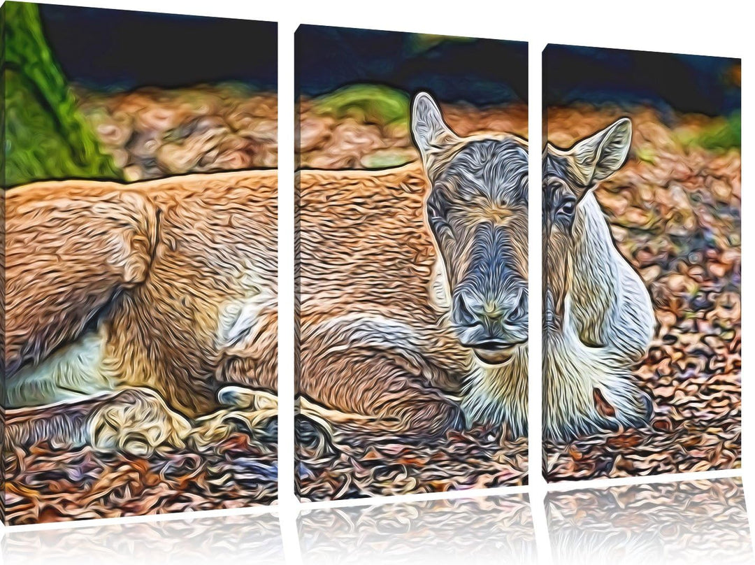 junger Elch Spezial 3-Teiler Leinwandbild 120x80 Bild auf Leinwand, XXL riesige Bilder fertig gerahm