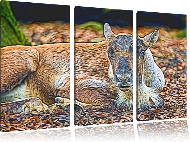 junger Elch Spezial 3-Teiler Leinwandbild 120x80 Bild auf Leinwand, XXL riesige Bilder fertig gerahm