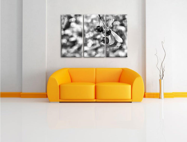 Pixxprint Kirsche als Leinwandbild/Grösse: 3 Teilig (120x80) cm/Wandbild/Kunstdruck/fertig bespannt