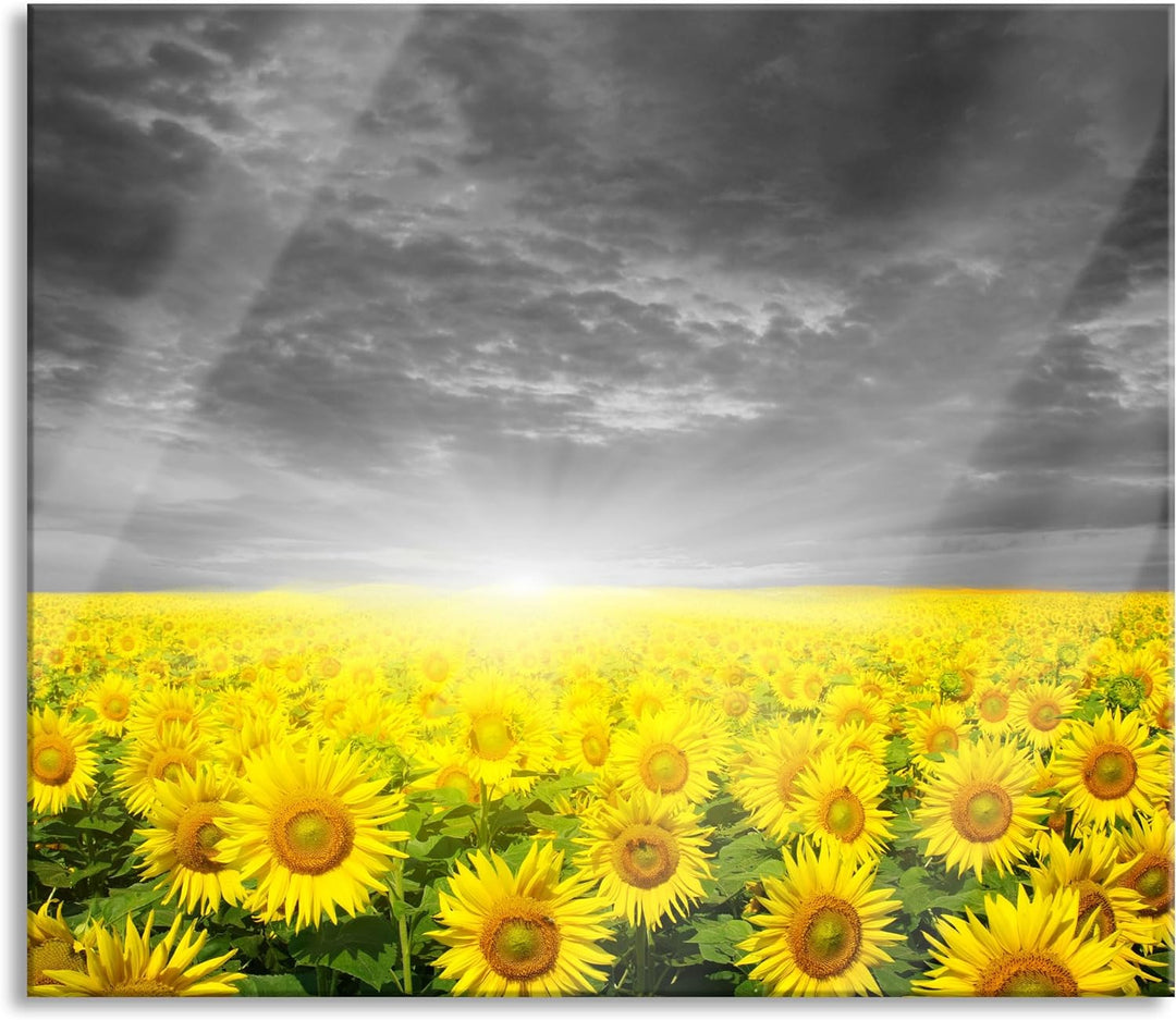 Sonnenblumen Sonnenuntergang Herdabdeckplatte & Spritzschutz aus Echtglas | Für Herd-Kochfelder | 60