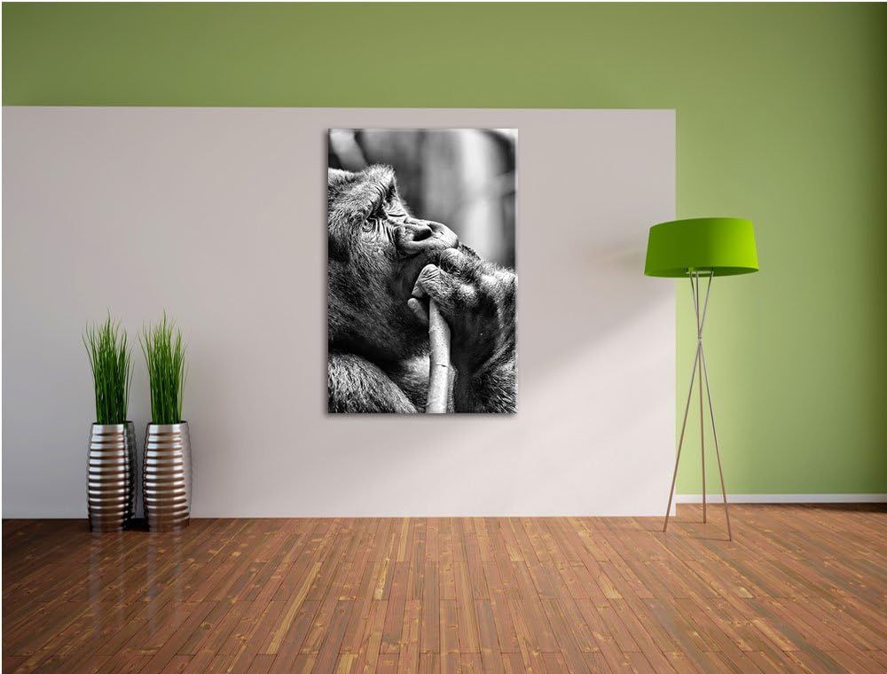Monocrome, Gorilla isst, Format: 100x70 auf Leinwand, XXL riesige Bilder fertig gerahmt mit Keilrahm