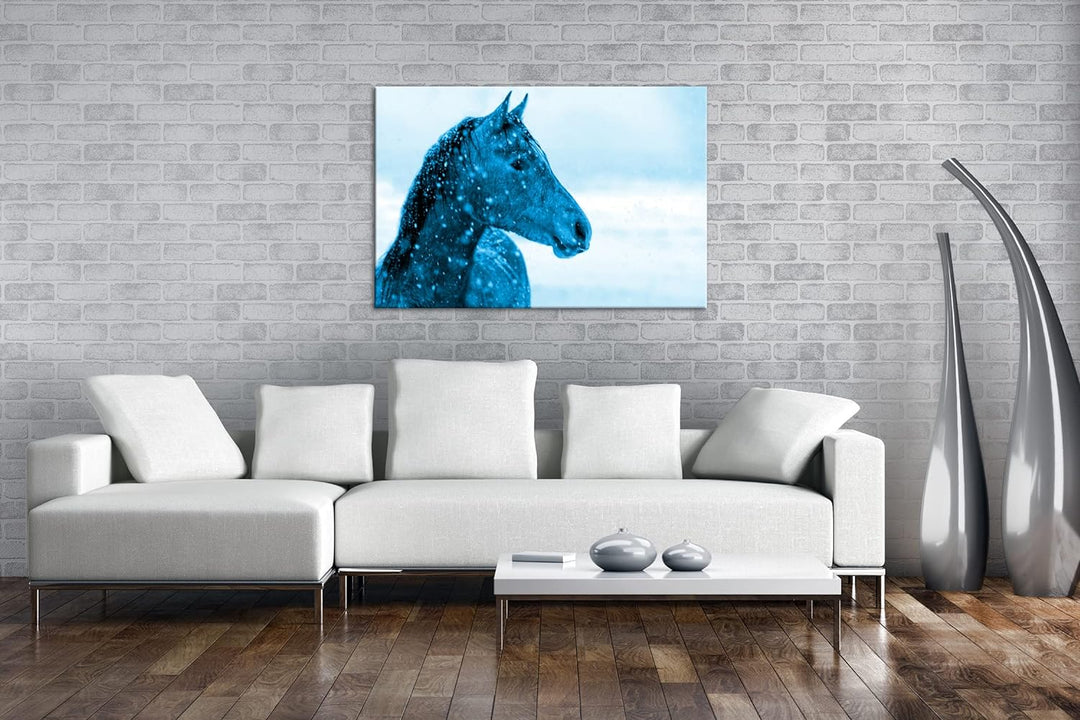 deyoli elegantes Pferdportät im Winter Format 80x60 Effekt: Monocrome Blau als Leinwandbild, Motiv f