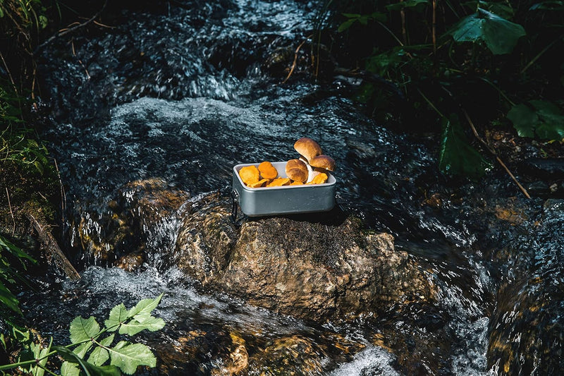 SIGG Metal Box Plus L Alu Lunchbox 1.2 L, moderne Brotdose mit praktischem Einsatz, federleichte Bro