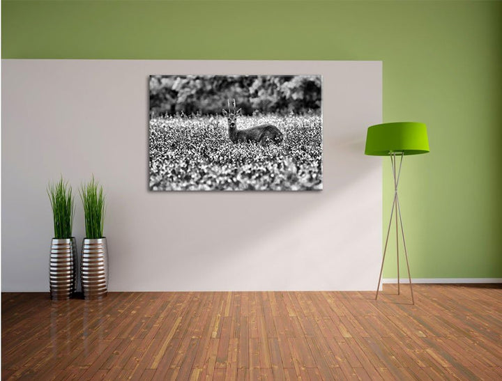 Pixxprint Monocrome, junger Hirsch auf Wildwiese, Format: 100x70 auf Leinwand, 100x70