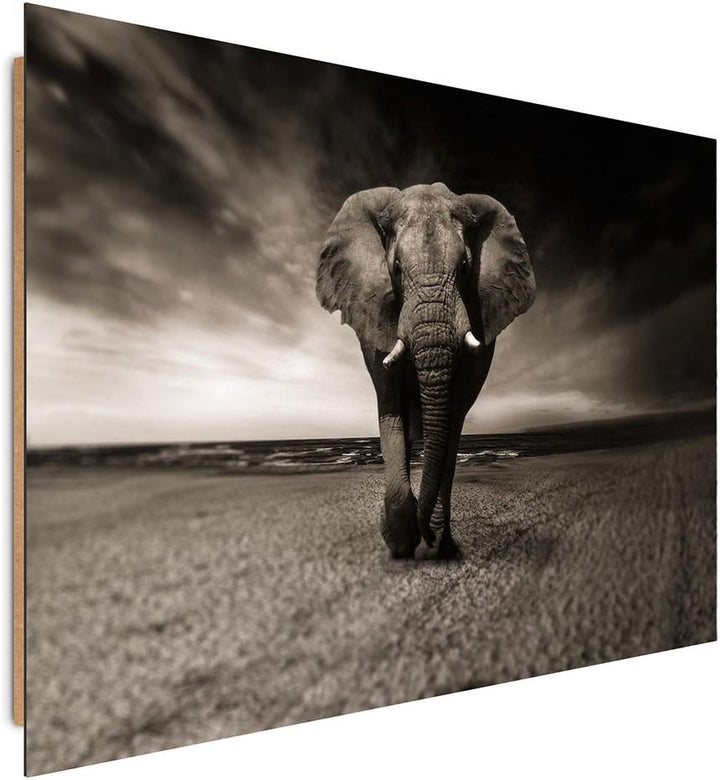 Feeby. Wandbilder - 1 Teilig- 78x118 cm - Bilder Kunstdrucke Deko Panel, ELEFANT, NATUR, SCHWARZ UND