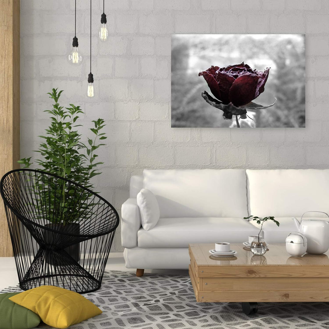 Feeby Bild auf Leinwand Natur Kunstdruck modern Rose Rot 80x60 cm M14553 80x60 cm, M14553 80x60 cm