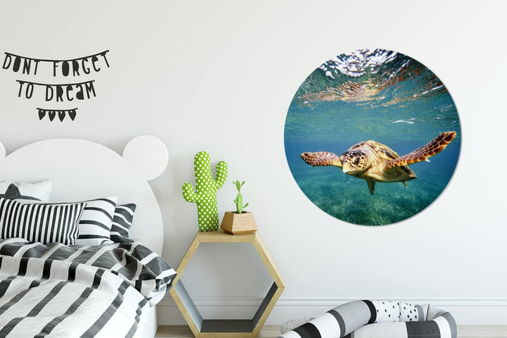 MuchoWow Wandbild Rund Wanddeko Deko Wohnzimmer Bilder 90x90 cm Schildkröte - Wasser - Blau, 90x90 c