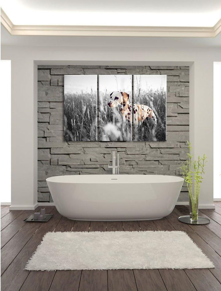 Pixxprint Neugieriger Hund im Feld B&W Detail 3-Teiler Leinwandbild 120x80 Bild auf Leinwand