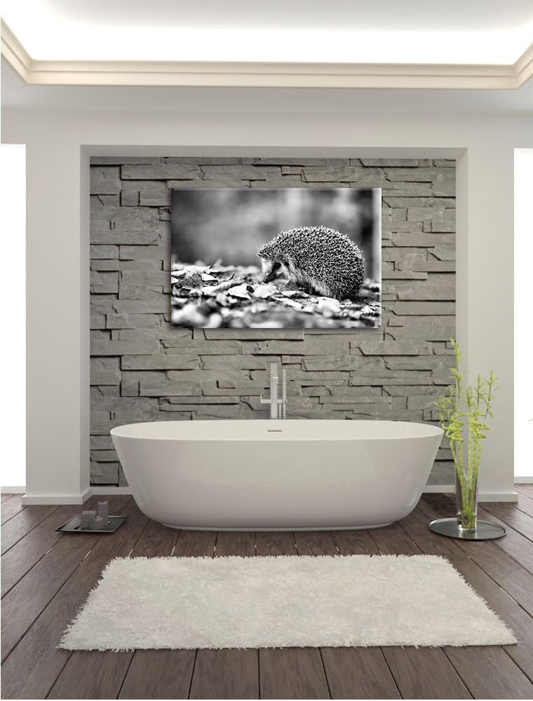 Monocrome, Igel im Laub , Format: 100x70 auf Leinwand, XXL riesige Bilder fertig gerahmt mit Keilrah