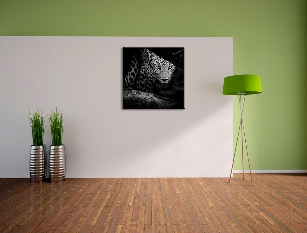 Pixxprint Neugieriger Gepard/Format: 70x70cm / Leinwandbild fertig bespannt Wandbild Kunstdruck, 70x