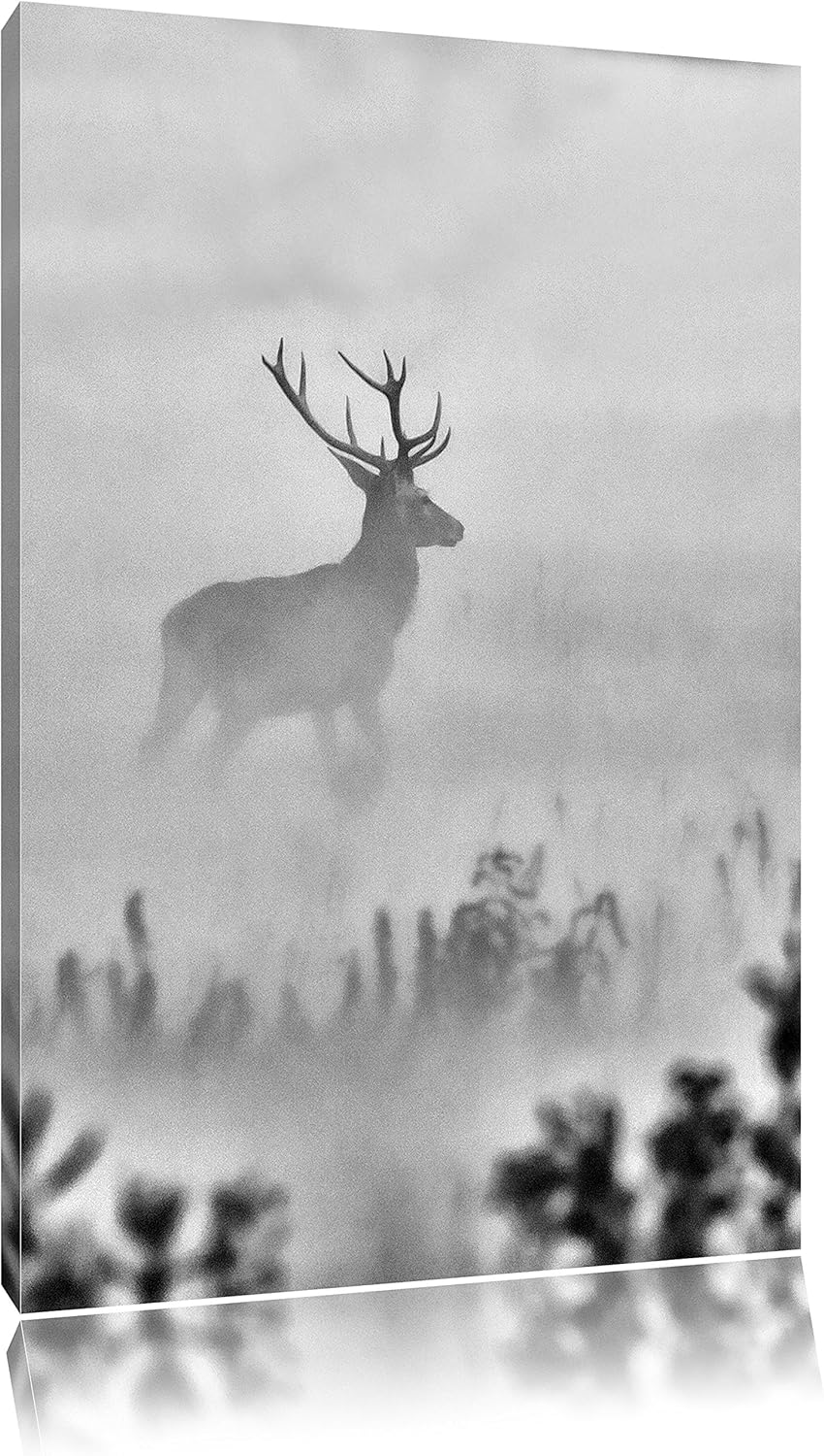 Pixxprint Monocrome, Hirsch im Nebel, Format: 100x70 auf Leinwand, 100x70