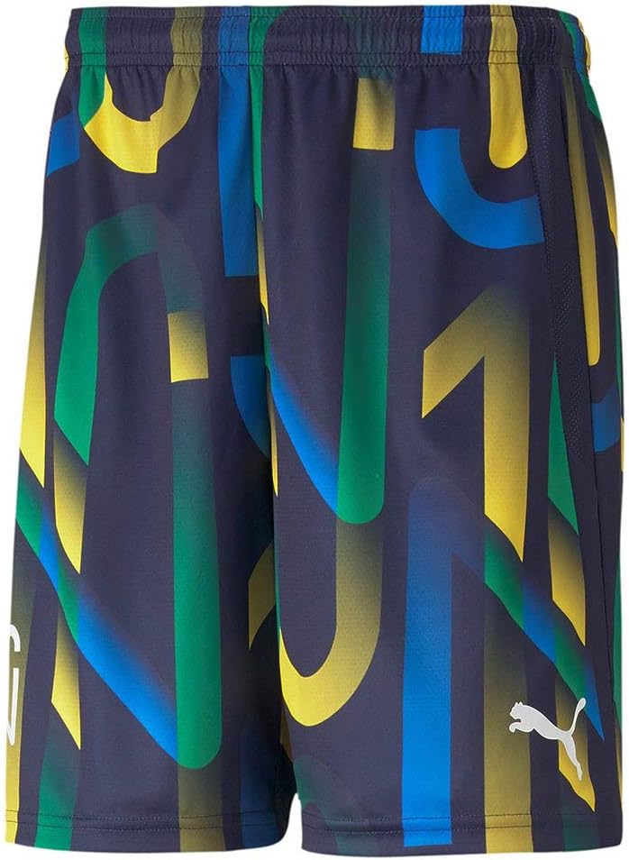 PUMA Fussball - Textilien - Shorts Future NJR Short 17 Multicolour, 17 Multicolour