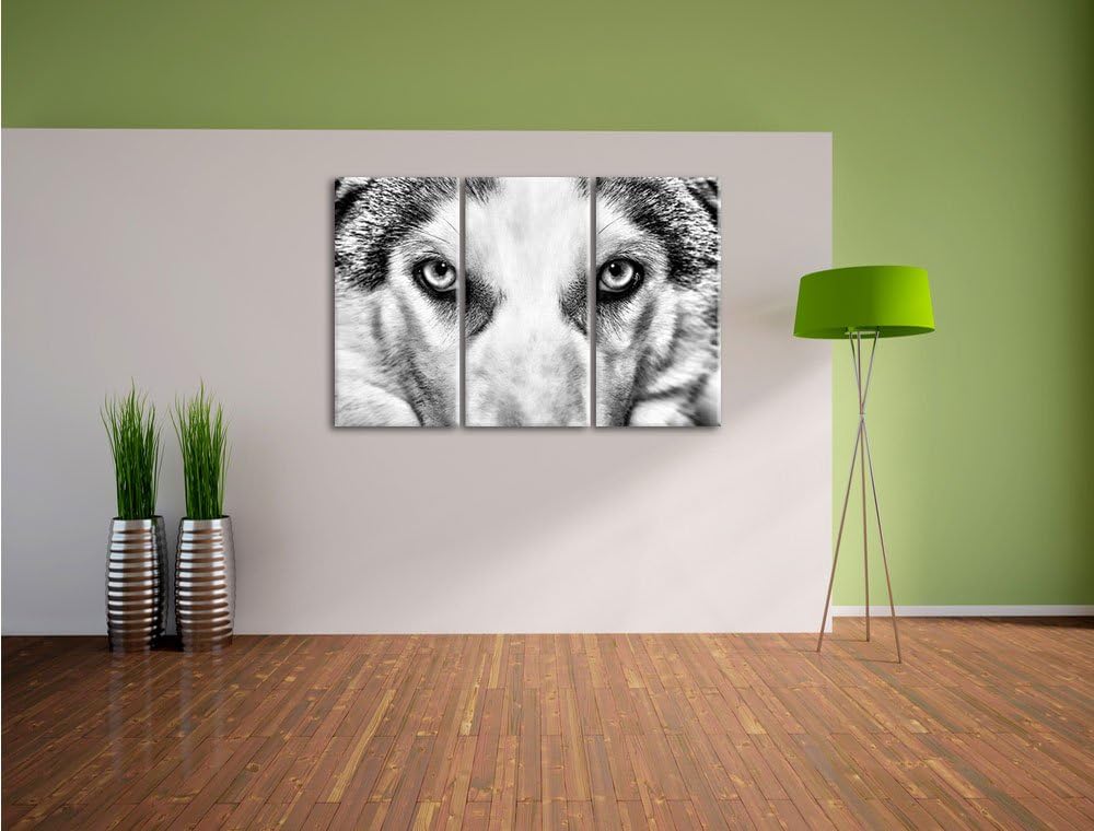 Pixxprint Husky mit Eisblauen Augen als Leinwandbild/Grösse: 3 Teilig (120x80) cm/Wandbild/Kunstdruc