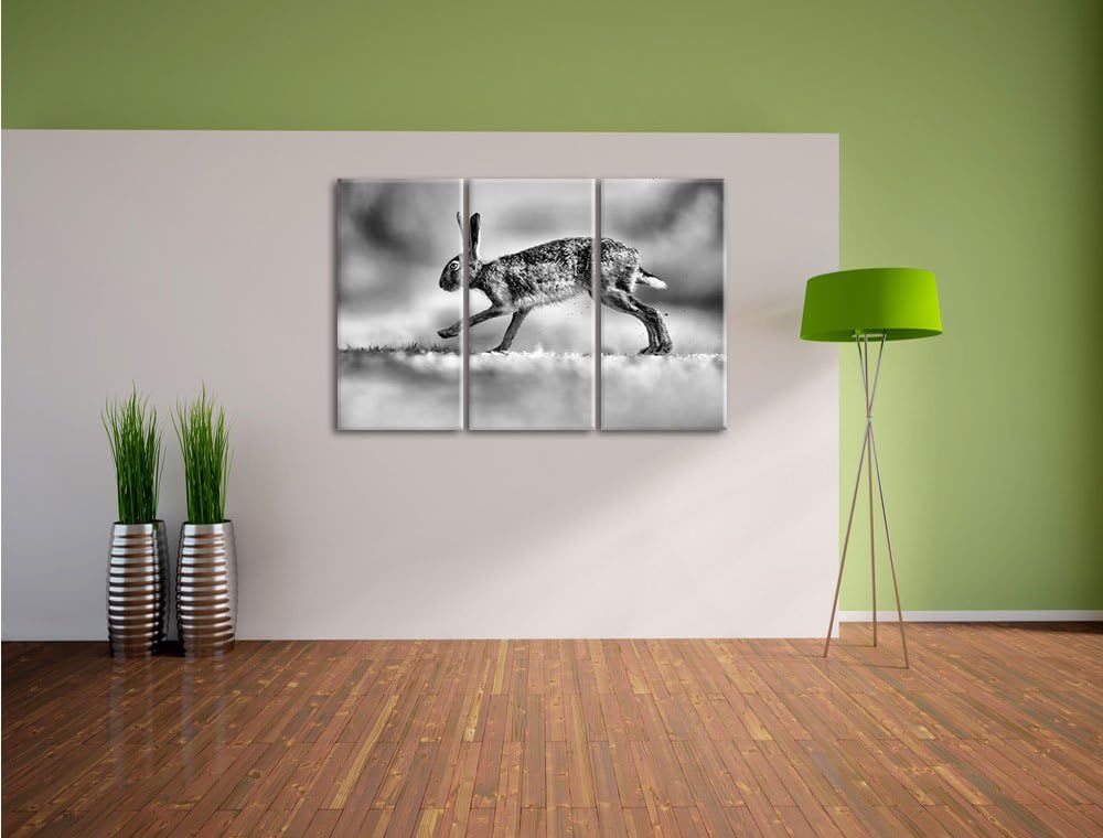 Pixxprint Hüpfender Hase / 3-Teilig/Gesamtmass 120cm Leinwandbild bespannt auf Holzrahmen/Wandbild K