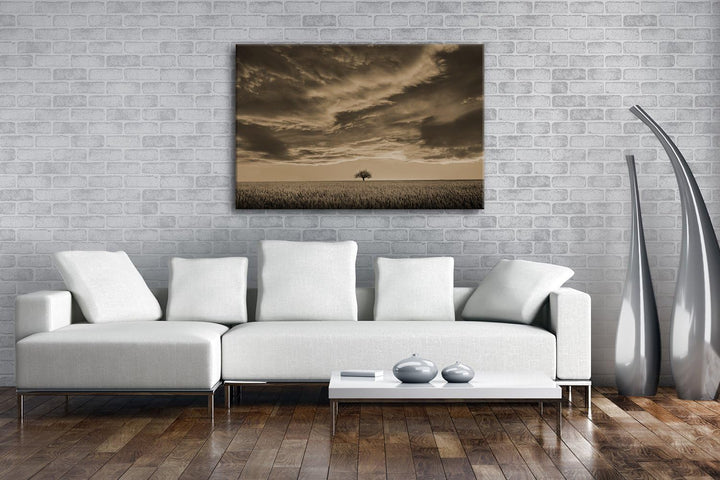 deyoli EIN einzelner Baum auf einem weitem Feld Format: 120x80 Effekt: Sepia als Leinwandbild, Motiv