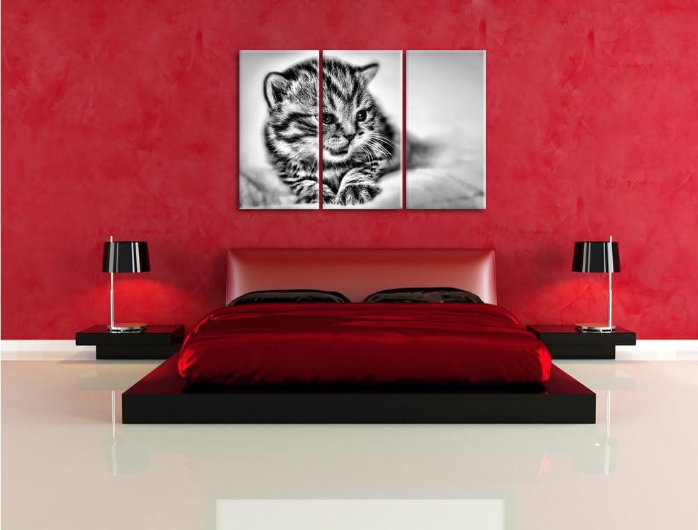 Pixxprint kleines Kätzchen auf weisser Decke als Leinwandbild/Grösse: 3 Teilig (120x80) cm/Wandbild/