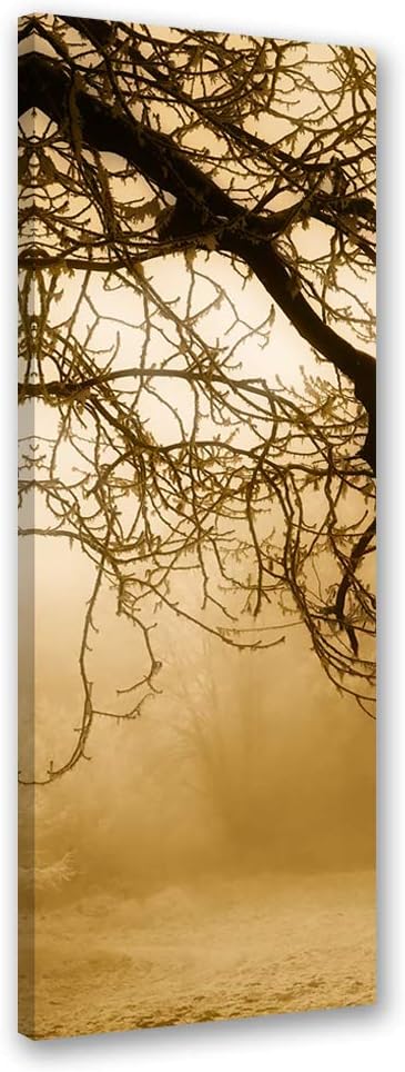 Febby Vlies Leinwandbild XXL Bäume Im Nebel 50x150 cm Wandbild Kunst Bilder Schlafzimmer Deko Wohnzi