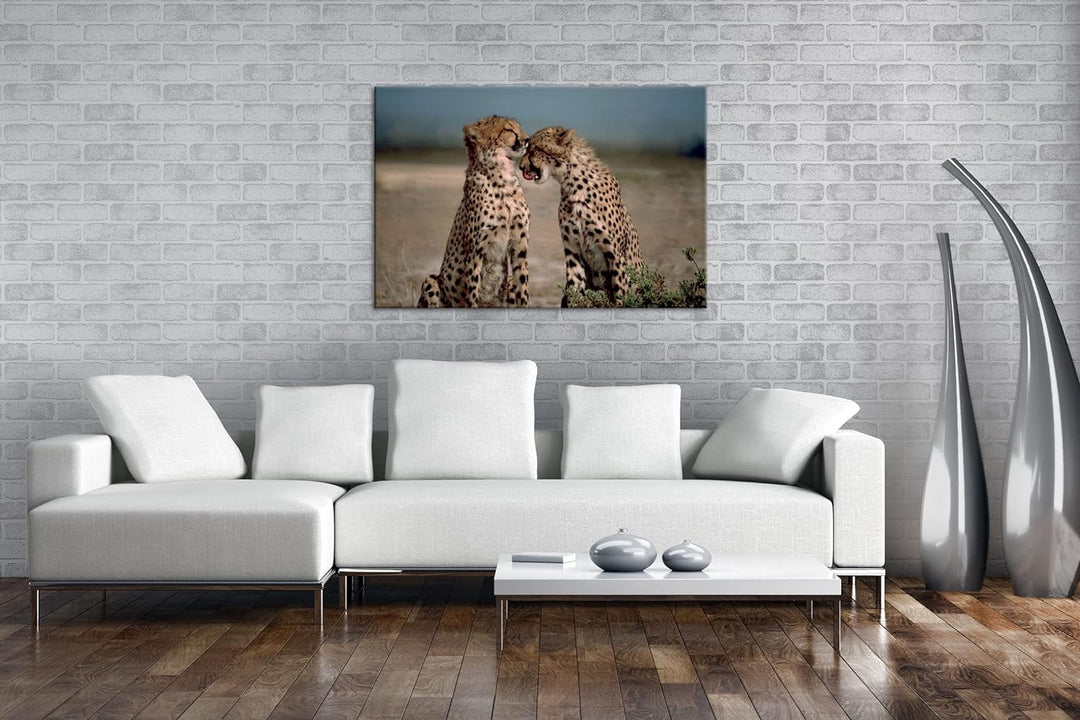 deyoli zwei süsse Geparden im Format: 80x60 als Leinwandbild, Motiv fertig gerahmt auf Echtholzrahme