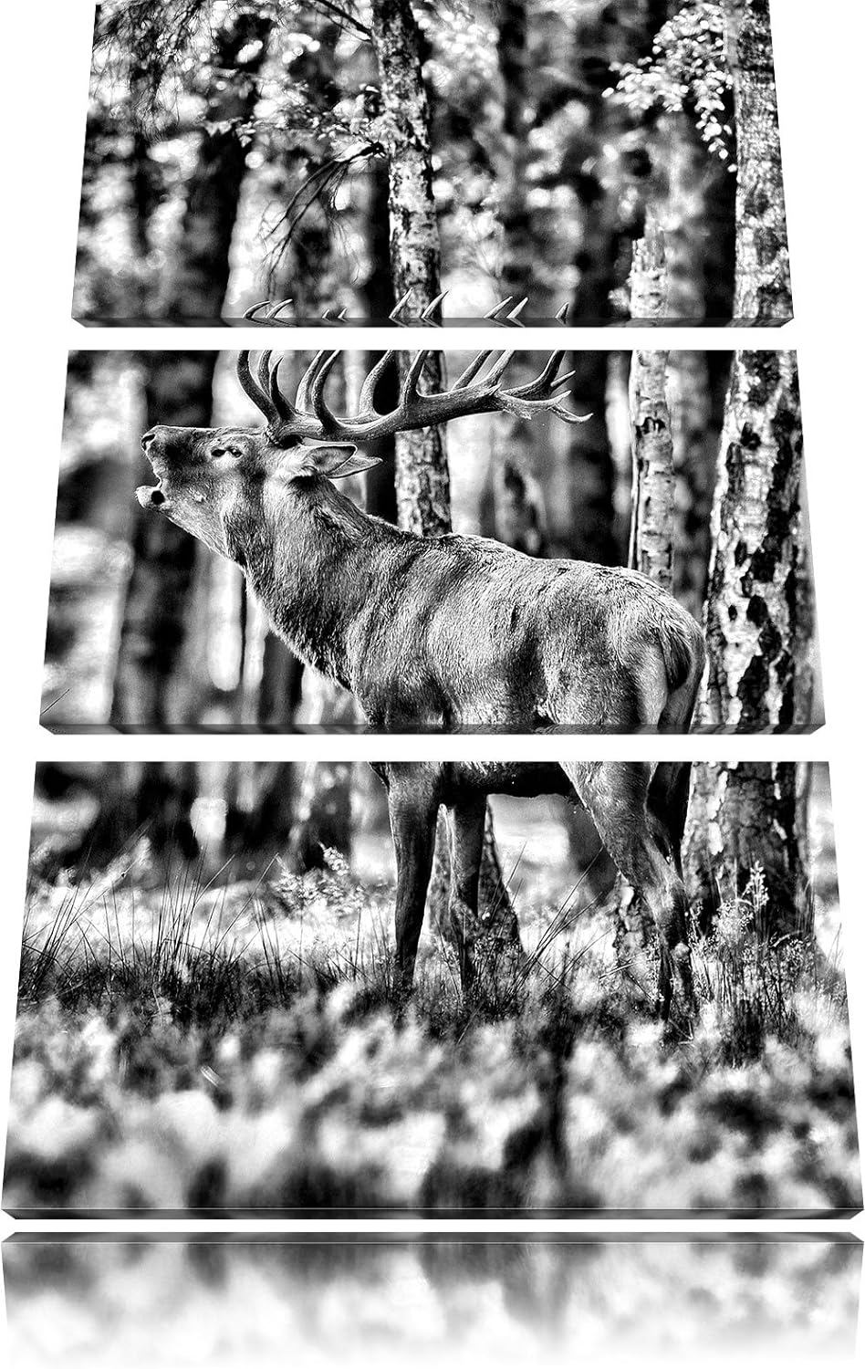 Pixxprint Hirsch im Wald als Leinwandbild | Grösse: 3 Teilig (120x80) | Wandbild| Kunstdruck | ferti