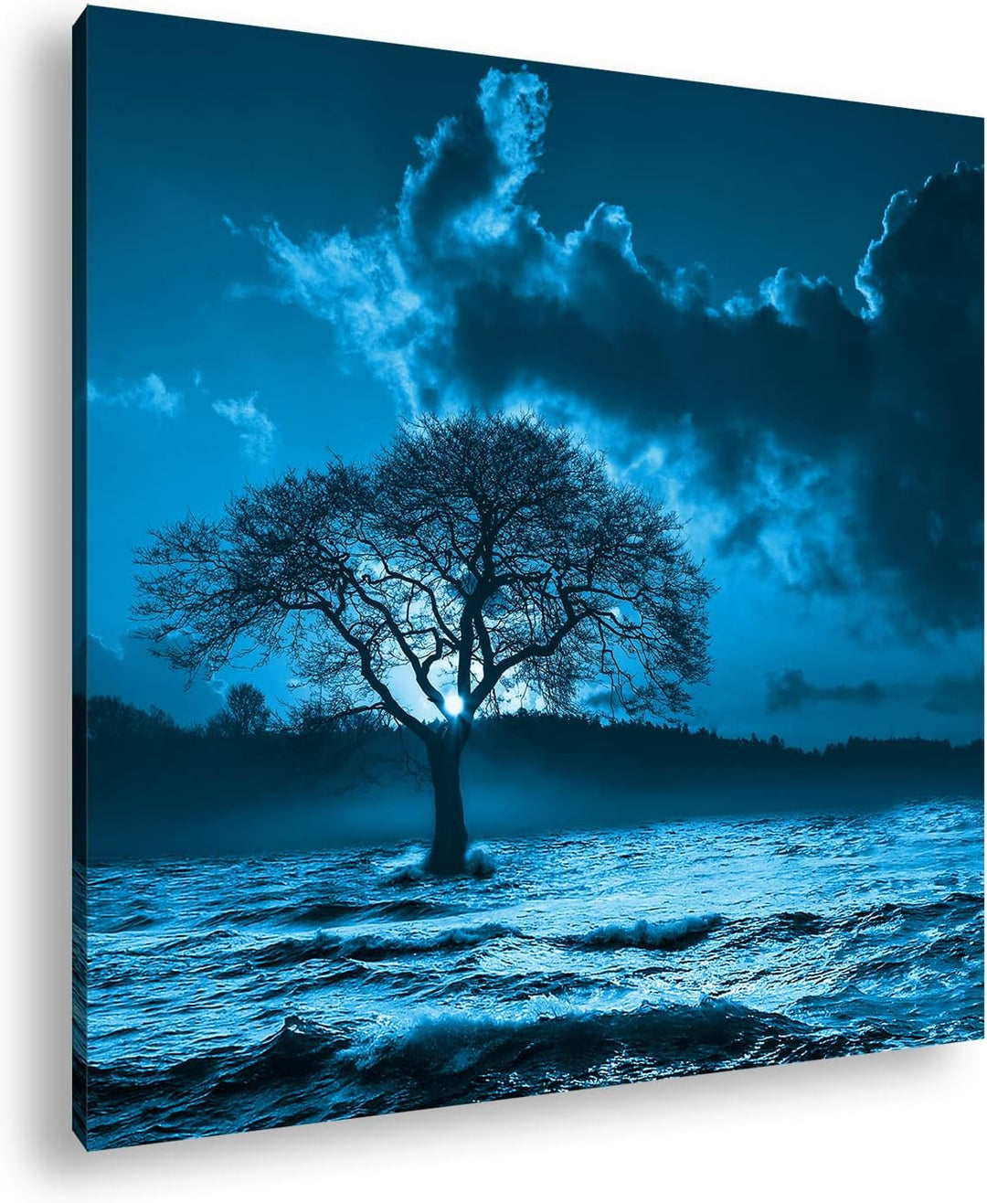 deyoli einsamer Baum im Meer Format: 70x70 Effekt: Monocrome Blau als Leinwandbild, Motiv fertig ger