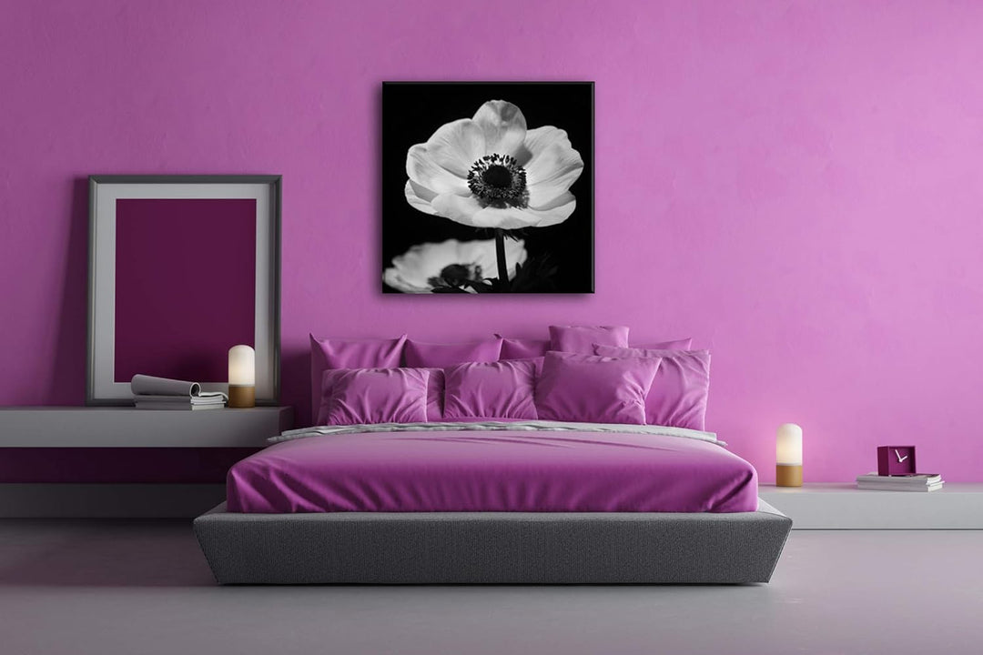deyoli Dark Anemone Format: 60x60 Effekt: Schwarz&Weiss als Leinwandbild, Motiv auf Echtholzrahmen,
